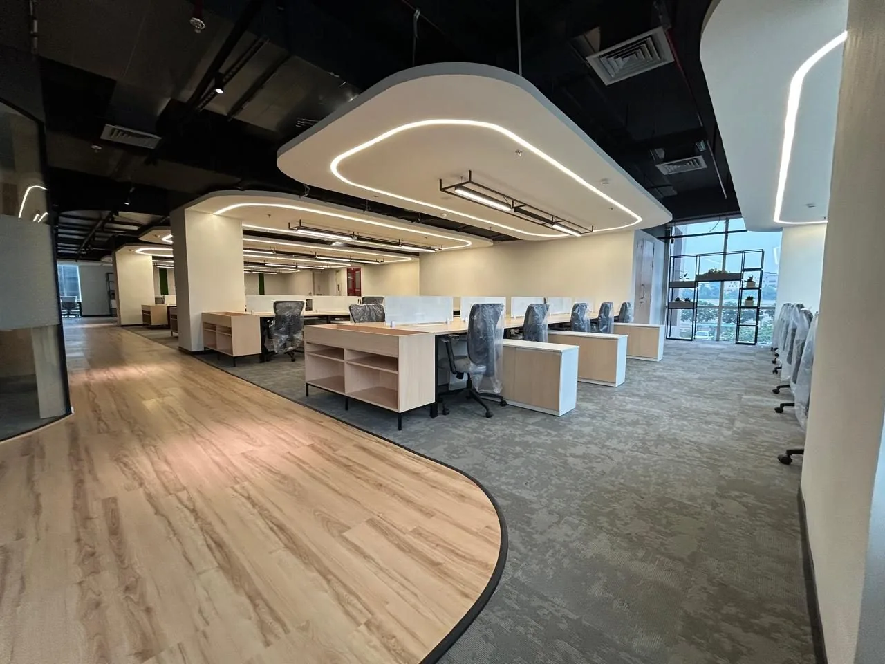 Open-plan office with curved ceiling features, carpet zones and a wood-look walkway