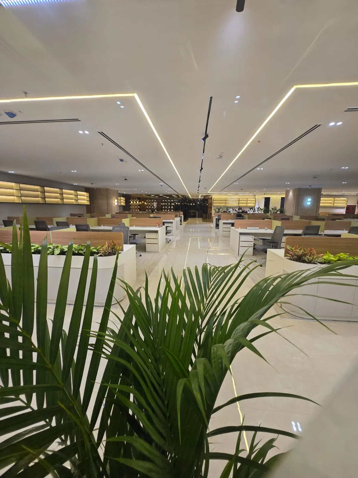 A finished office floor with glazed meeting rooms and open workstations